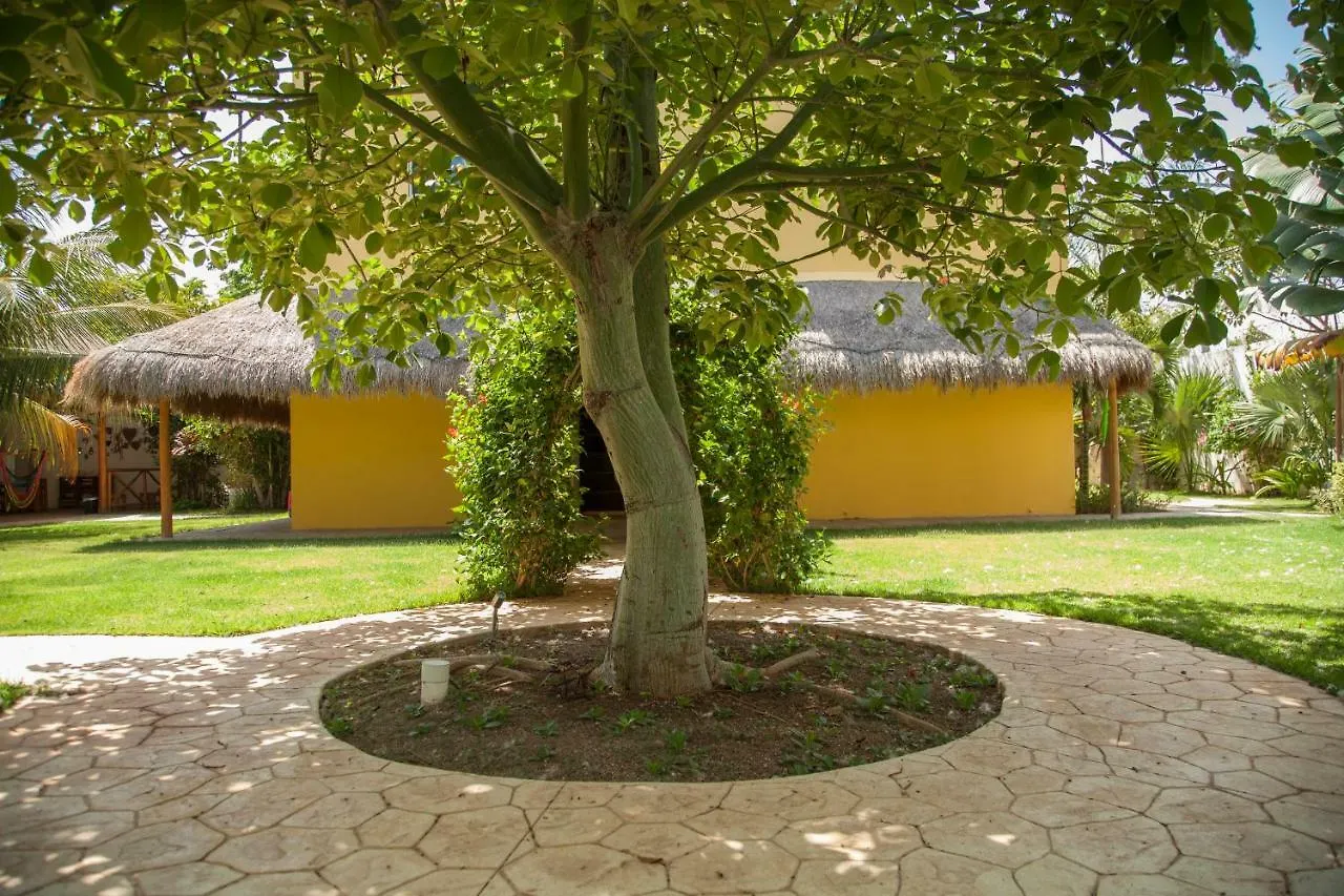 Holiday home Beautiful Private Villa For 16 Pax With Garden, Bbq And Pool, Playa Del Carmen Mexico