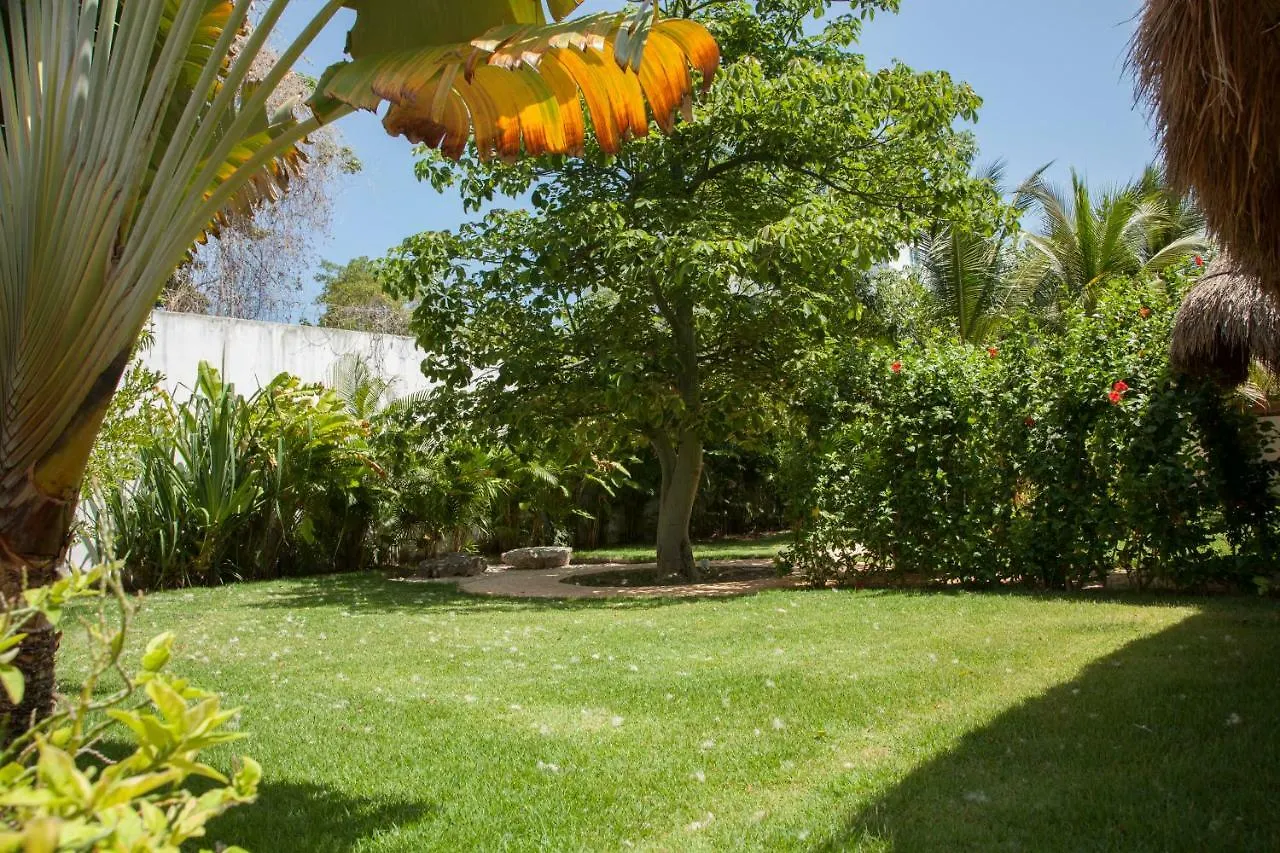 Beautiful Private Villa For 16 Pax With Garden, Bbq And Pool, Playa Del Carmen
