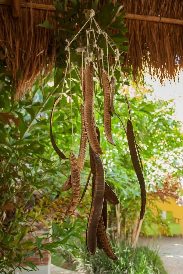 Beautiful Private Villa For 16 Pax With Garden, Bbq And Pool, Playa Del Carmen 0*,